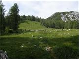 Najberž - Wackendorfer Spitze